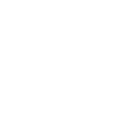 Authorized Mitchell1 3rd Party Developer