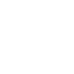 Authorized Mitchell1 3rd Party Developer